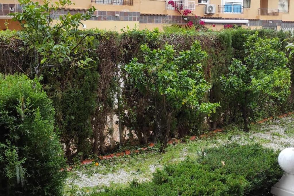 Punta Prima Bungalow Jardin Privado Torrevieja Exterior photo